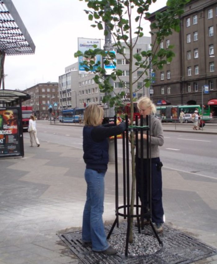 Istutustööd